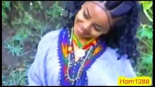 New Ethiopian Amharic Music  አበባዩህ ደምሴ  ማርዘነብ [upl. by Ko245]