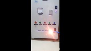 One Step Demo to Check Oxygen Purity Pure Oxygen Ozone Generator Ozone Generator in Mumbai India [upl. by Ahtamat]