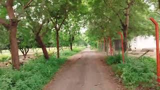 pkv akola Banjara [upl. by Lesli889]