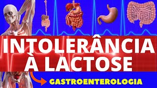 INTOLERÂNCIA A LACTOSE CAUSAS SINTOMAS DIAGNÓSTICO E TRATAMENTO  INTOLERÂNCIA A LACTOSE [upl. by Yrtneg]