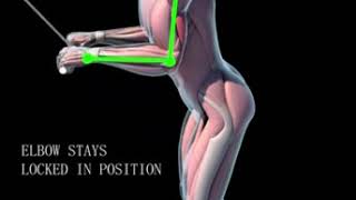 TRICEPS CON POLEA CORRECTA EJECUCION [upl. by Noryahs]