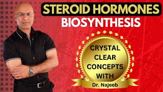 Synthesis of Steroid Hormones  Biosynthesis  Dr Najeeb👨‍⚕️ [upl. by Suilmann31]