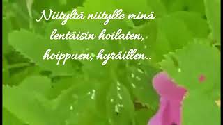 Juhannus toivotukset jokaiselle ðŸ’ðŸ˜ŠðŸŒºðŸ€ðŸ™ðŸŒžðŸŒ»ðŸ’š [upl. by Mohun]