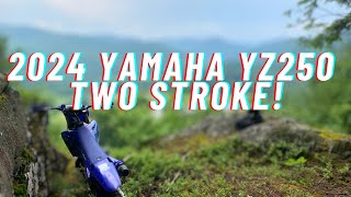 FAST 2024 Yamaha Yz250 Ripping In The Woods [upl. by Ainecey]