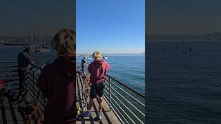 Fishing at Shelter Island Pier Veterans Day 2024 fishing [upl. by Elaweda661]