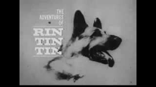 1960s Promo bumper for quotThe Adventures Of Rin Tin Tinquot for Post Cereals [upl. by Ynor]