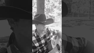 Muscadine bloodlinePieces coverJordan Leechguitar covermusicshortssong MuscadineBloodline [upl. by Reyam]