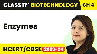 Enzymes  Enzymes and Bioenergetics  Class 11 Biotechnology Chapter 4  CBSE 2202425 [upl. by Ahsiugal]