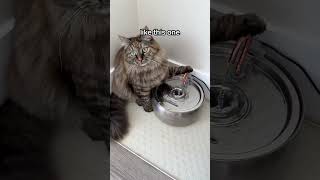 The 1 Vet Recommended Cat Fountain 😸 [upl. by Attennek]