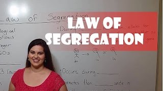 Mendels Law of Segregation [upl. by Massie403]