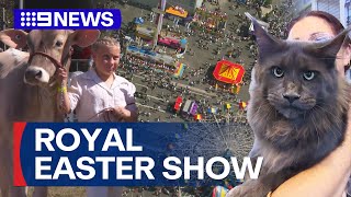 Spotlight animals for the Royal Easter Show  9 News Australia [upl. by Svirad]