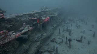 Dive the barge wreck metridium field middle reef and breakwater wall Monterey CA [upl. by Rimola]