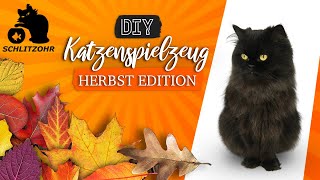 🔥DIY Katzenspielzeug Herbst Edition  Katzenspielzeug selber basteln  Katzen Hacks [upl. by Ian]