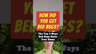 How Did You Get Bed Bugs [upl. by Casimir]