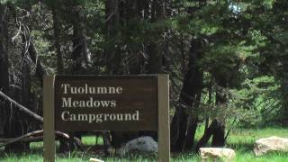 Tuolumne Meadows  Campground Tour [upl. by Dranyl]