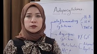 Lipid Metabolism Biochemistry Session 19 Adipocytokines [upl. by Sivel]