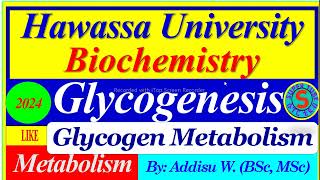 Glycogenesis Glycogen Synthesis  Glycogen Metabolism  carbohydrates metabolism biochemistry [upl. by Etti]