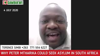 Why Peter Mutharika Is Seeking Asylum in South Africa  Terence Simbi [upl. by Ytinav]