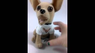 Talking Taco Bell Dog Chihuahua quotHow Cool Is Thisquot [upl. by Mich]