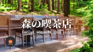 環境音JAZZ やさしい森の喫茶店 森の中の音でリラックス 作業  勉強  休憩  睡眠 CAFE MUSIC  作業用BGM🌳 [upl. by Adhern994]