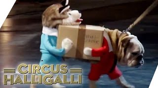 Aushalten Nicht lachen Tag Team Edition Vol 2  TEIL 4  Circus Halligalli  ProSieben [upl. by Effie]