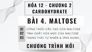 Maltose Hóa 12│Công thức cấu tạo và tính chất hóa học của Maltose│HÓA 12 CHÂN TRỜI SÁNG TẠO [upl. by Drain283]