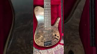 fodera imperial 5 eilte bass [upl. by Nicolle]