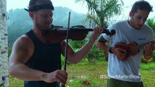 Despacito LIVE in Puerto Rico  Violin and Ukulele [upl. by Gildea]