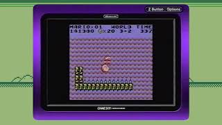 Super Mario Land Playthrough VHS [upl. by Gnod120]