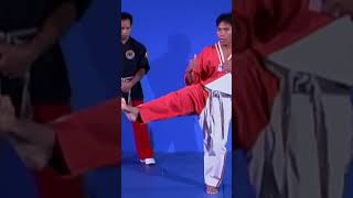 BASICS FRONT SNAP KICK TAE KWON DO [upl. by Nwahsar]