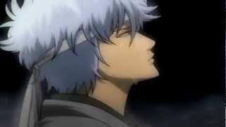 quotWe all know GintamaquotJust Gintama AMV [upl. by Ecal466]