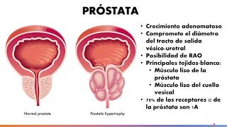 Farmacología del sistema adrenérgico Parte 33  Dr Martín Hornos [upl. by Edurtreg]