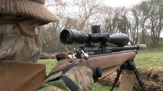 The Airgun Show  rabbit hunting and the iconic Weihrauch HW77 [upl. by Hoyt668]