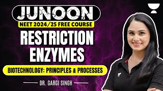 Biotechnology  Principles and Processes  Restriction Enzymes  Junoon NEET 2024  Dr Gargi Singh [upl. by Hgielhsa706]