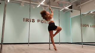 Beginners pole technique [upl. by Gomer]