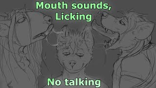 Furry ASMR You get both of your ears licked at once violently No talking [upl. by Adlanor]