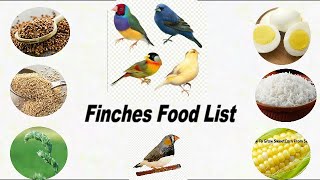 15 Food Your Finches Birds  Finches Birds Food list  What Food your Finches Birds [upl. by Pierrette]