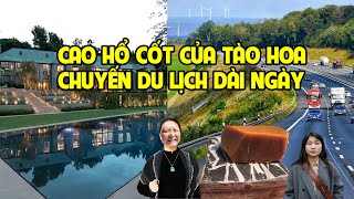 A992  TÀO HOA Ở NHÀ NGÂN DÀI HẠN  CAO HỔ CỐT GIẢ HAY XỊN [upl. by Fante]