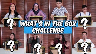 Whats in the Box Challenge  with DKN 2 Cast [upl. by Turino]