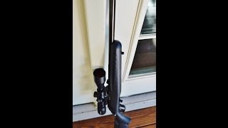 Ruger American Rimfire amp Vortex Crossfire II [upl. by Knute]