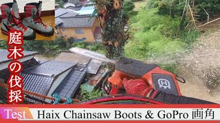 【庭木の伐採】民家裏 支障木 Haix チェーンソーブーツ chainsaw boots [upl. by Wilow]