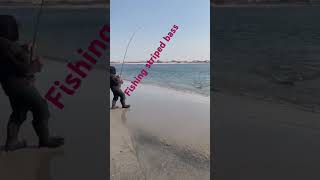 Fishing striped bass [upl. by Jessika539]