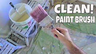 How to keep a Paint Brush Clean Trick Pro Painter Secrets Revealed [upl. by Ahtaga912]