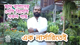 ছাদ বাগানের দেশি বিদেশি সকল গাছ এক নার্সারিতেই ।। সাথে বিপুল টব কালেকশন ।। [upl. by Lamont]