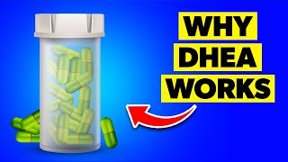 What Happens If You Take DHEA Supplements Every Day [upl. by Jac]