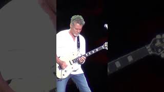 Guitar Solo  Eddie Van Halen 2015 [upl. by Champaigne49]