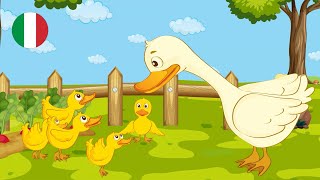 Lucilla  Cinque paperelle 🐥 Cartoon Video [upl. by Anirba833]