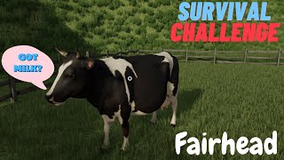 MILKING THE COWS FOR ££££S Survival Challenge EP43 Farming Simulator 22 Fairhead [upl. by Ahkos]