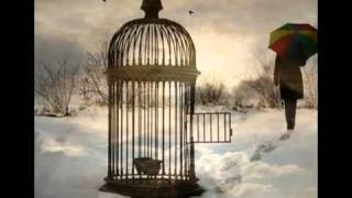 Dan Fogelberg  Empty Cages [upl. by Bevin]