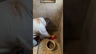 Grouting Bathroom Shower diy tutorial grout grouting construction bathroomremodel tile tiled [upl. by Nelson]